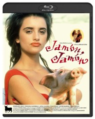 �n�����n����