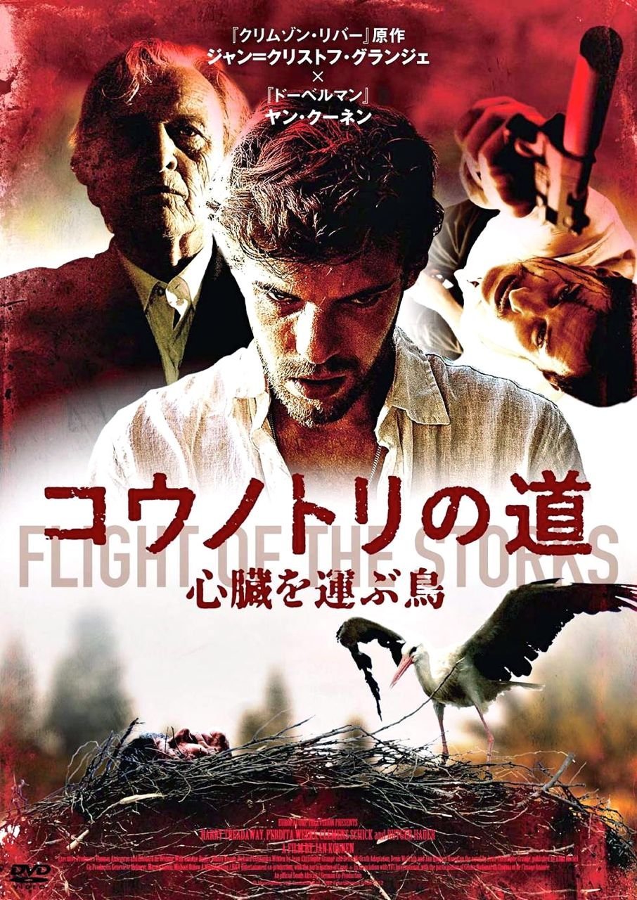 コウノトリの道